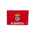 Benfica with Stars Flag 24x36"